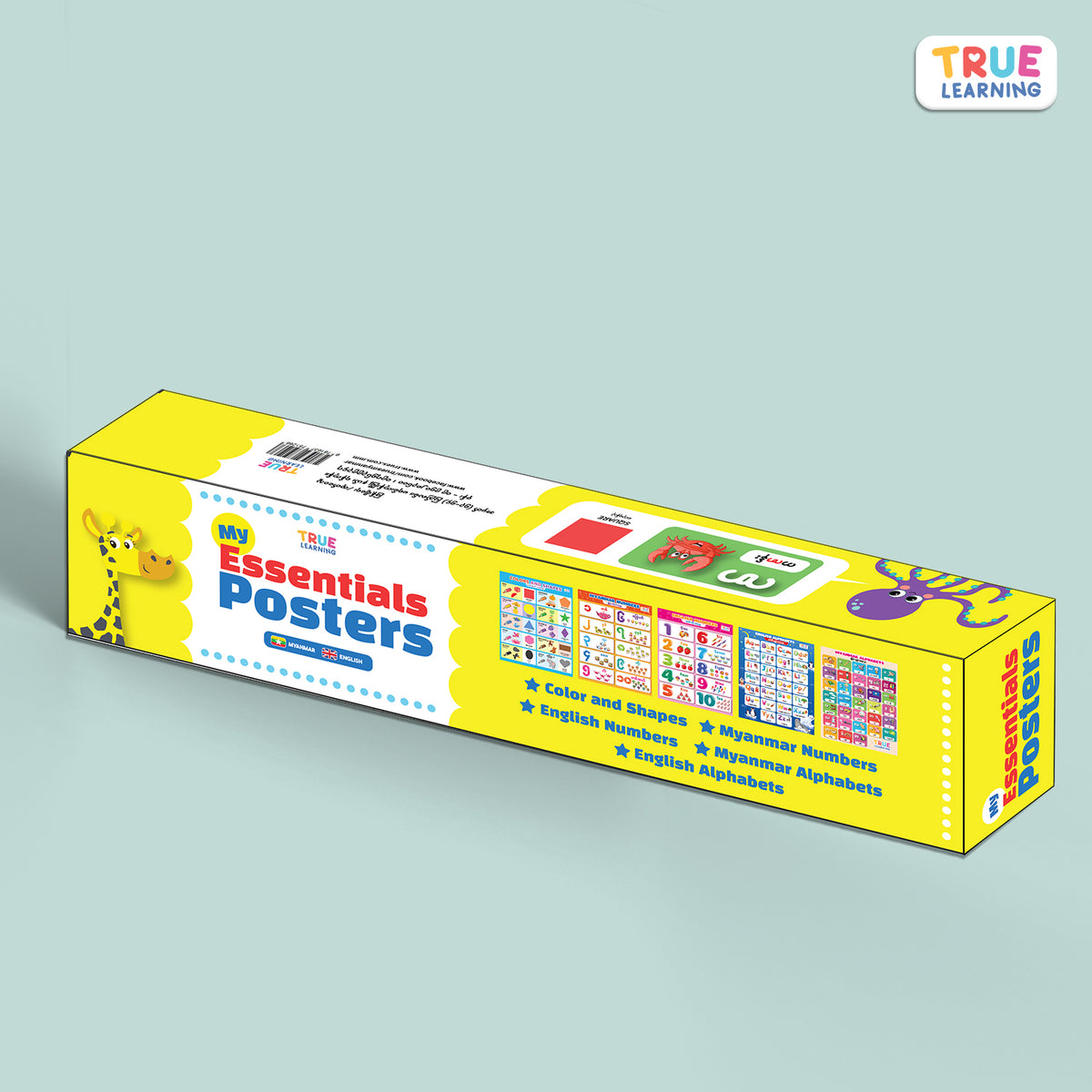 My Essential Posters (5 sets) – True Learning Books - ထူးထူးစာပေ