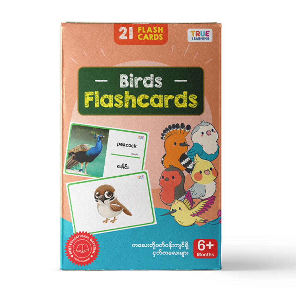 Birds Flashcards 21 cards