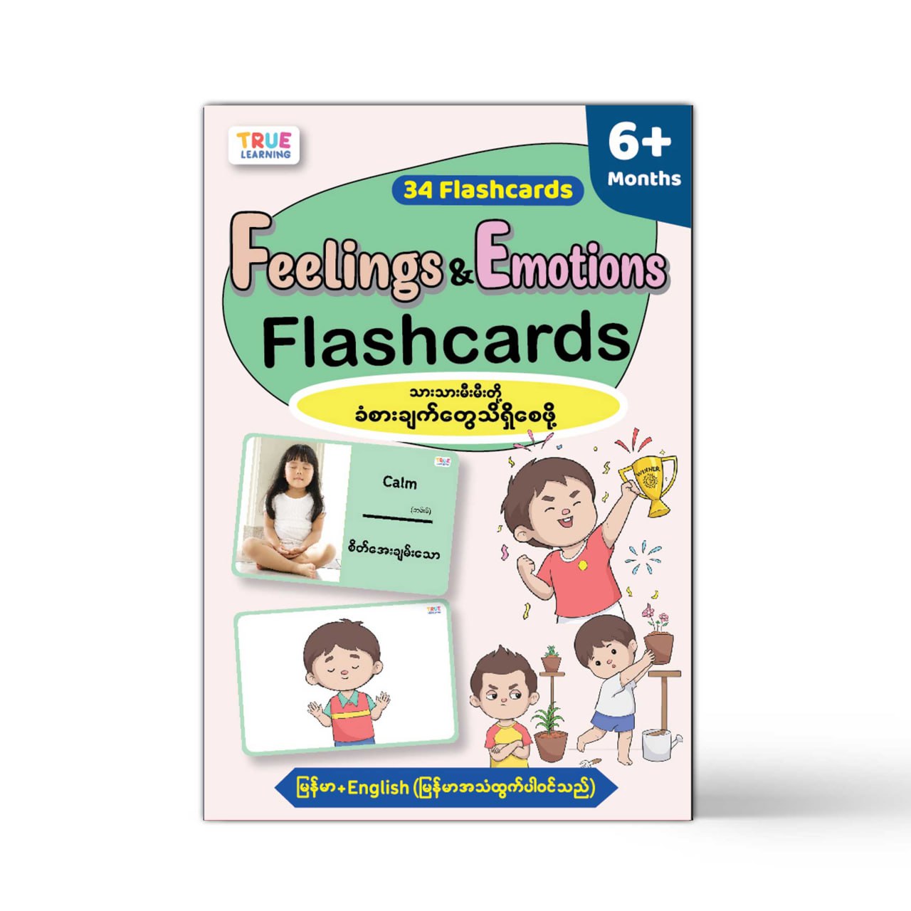 Feelings & Emotions Flashcards (33 Cards)