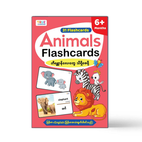 Animals Flashcards (31 Cards)