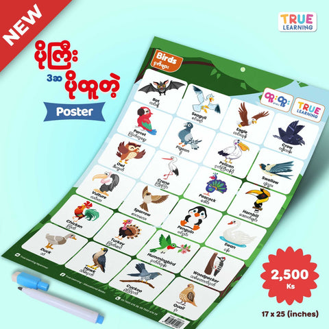 Birds Poster
