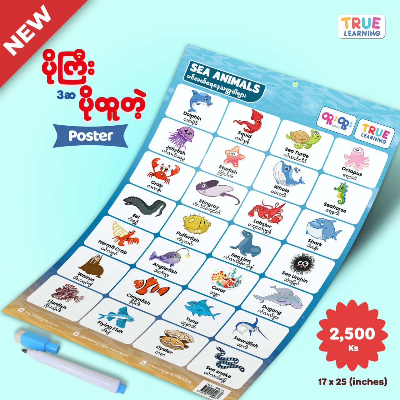 Sea Animals Poster