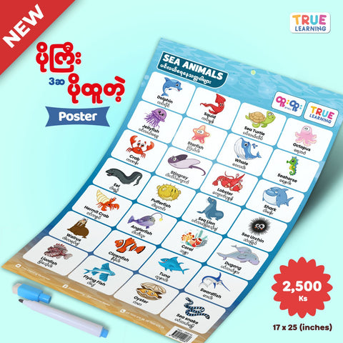 Sea Animals Poster