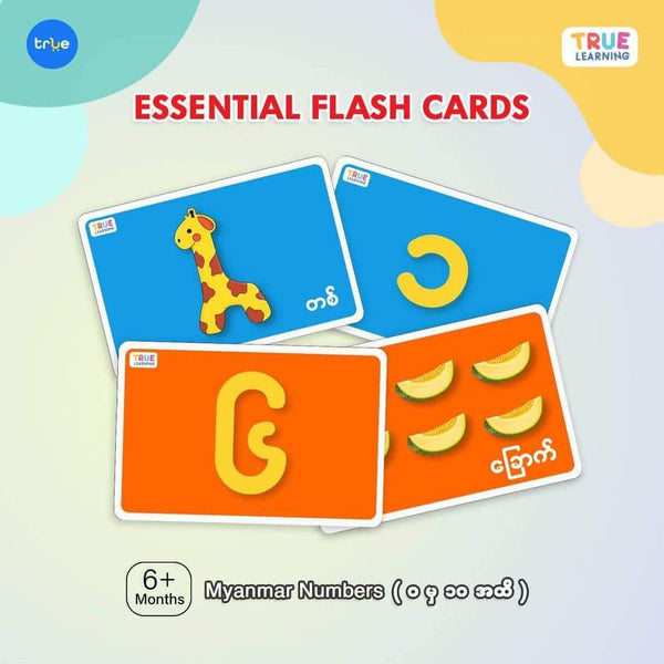 Essential Flashcards 4 sets (83 Cards) - True's Myanmar
