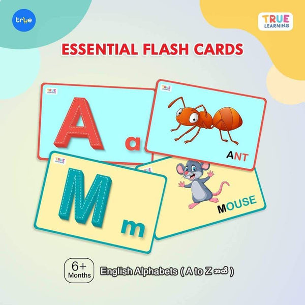 Essential Flashcards 4 sets (83 Cards) - True's Myanmar